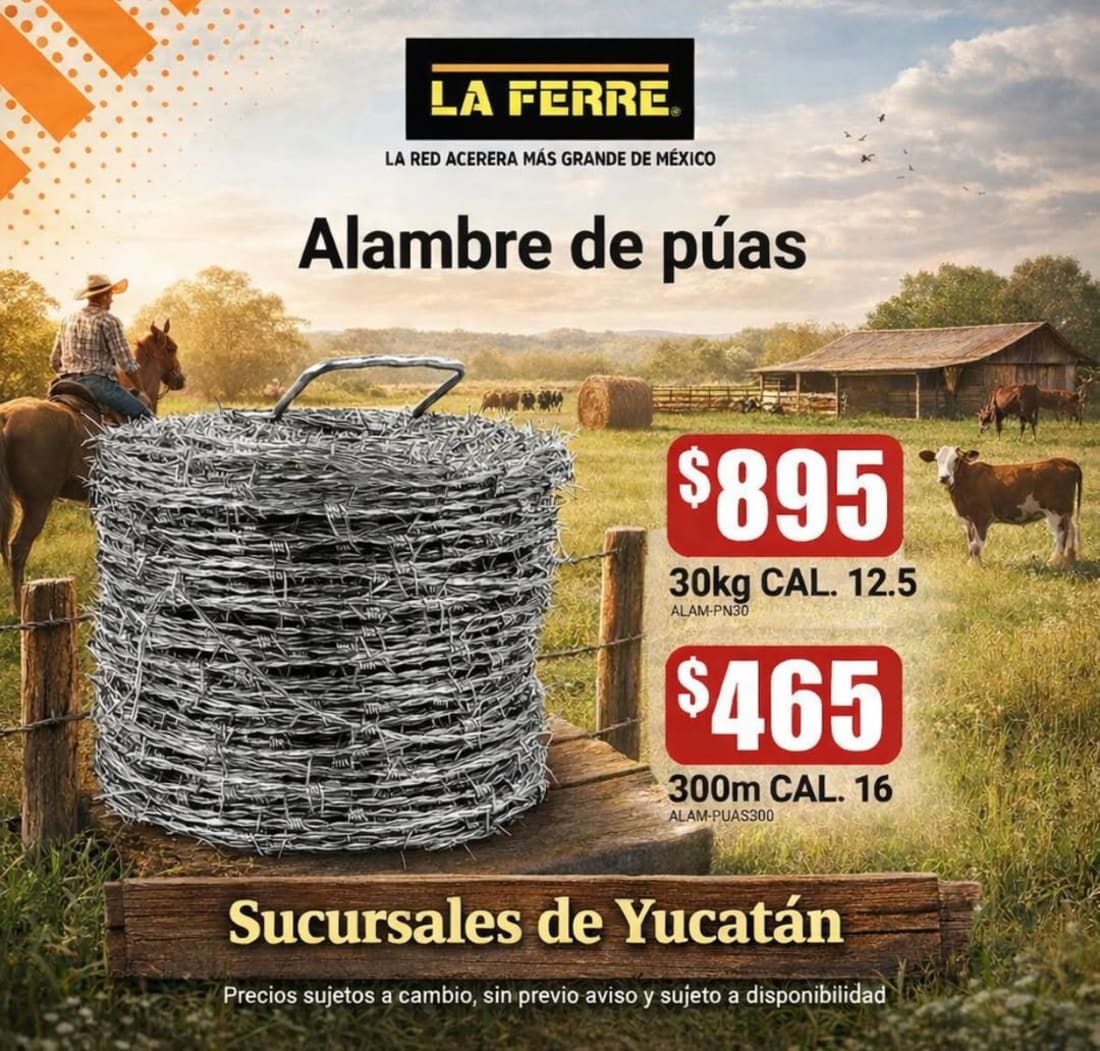 Ferre Merida Perinorte