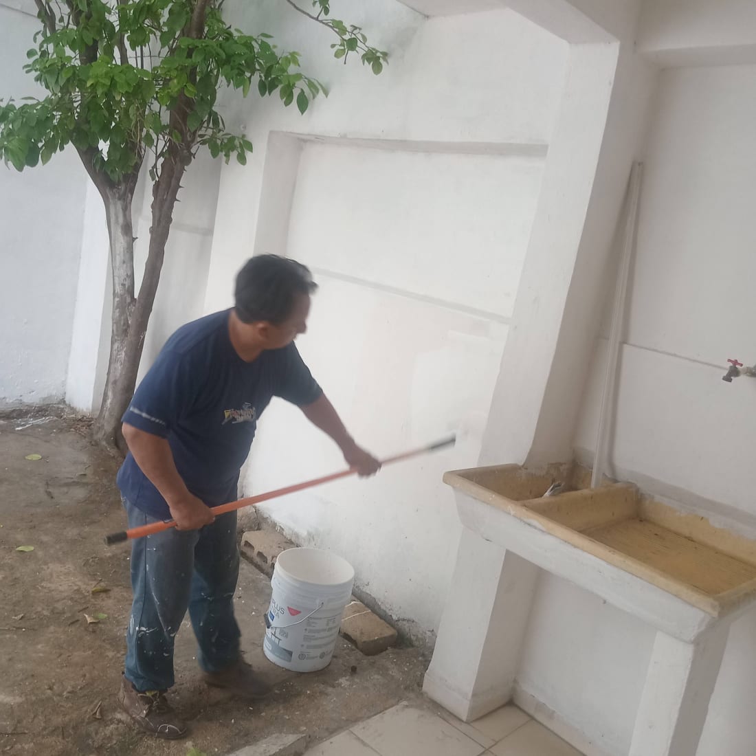 Servicios Julio Mid