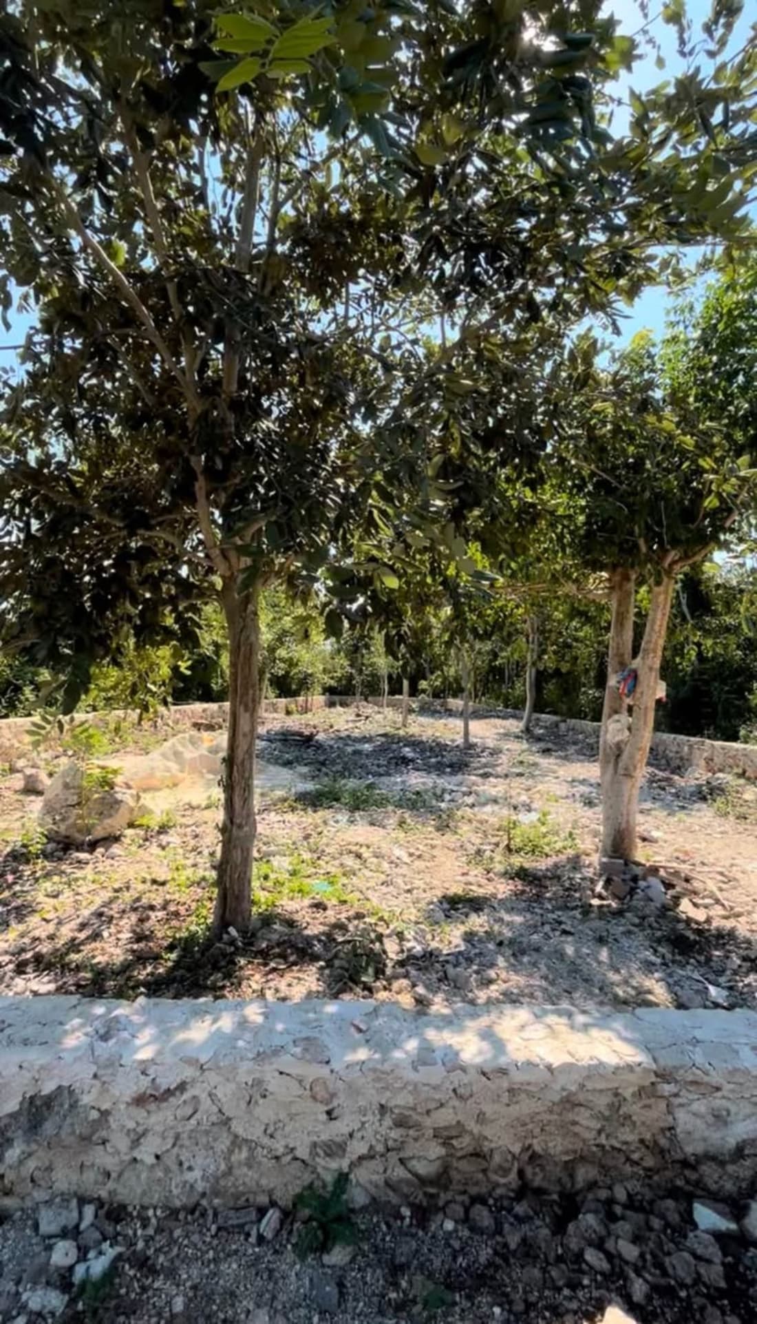 Terrenos 300 m2 Privada Residencial Blu Lagun