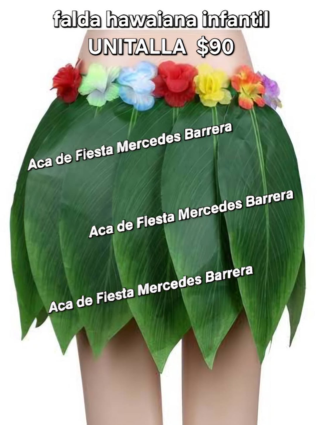 Aca de Fiesta Mercedes Barrera