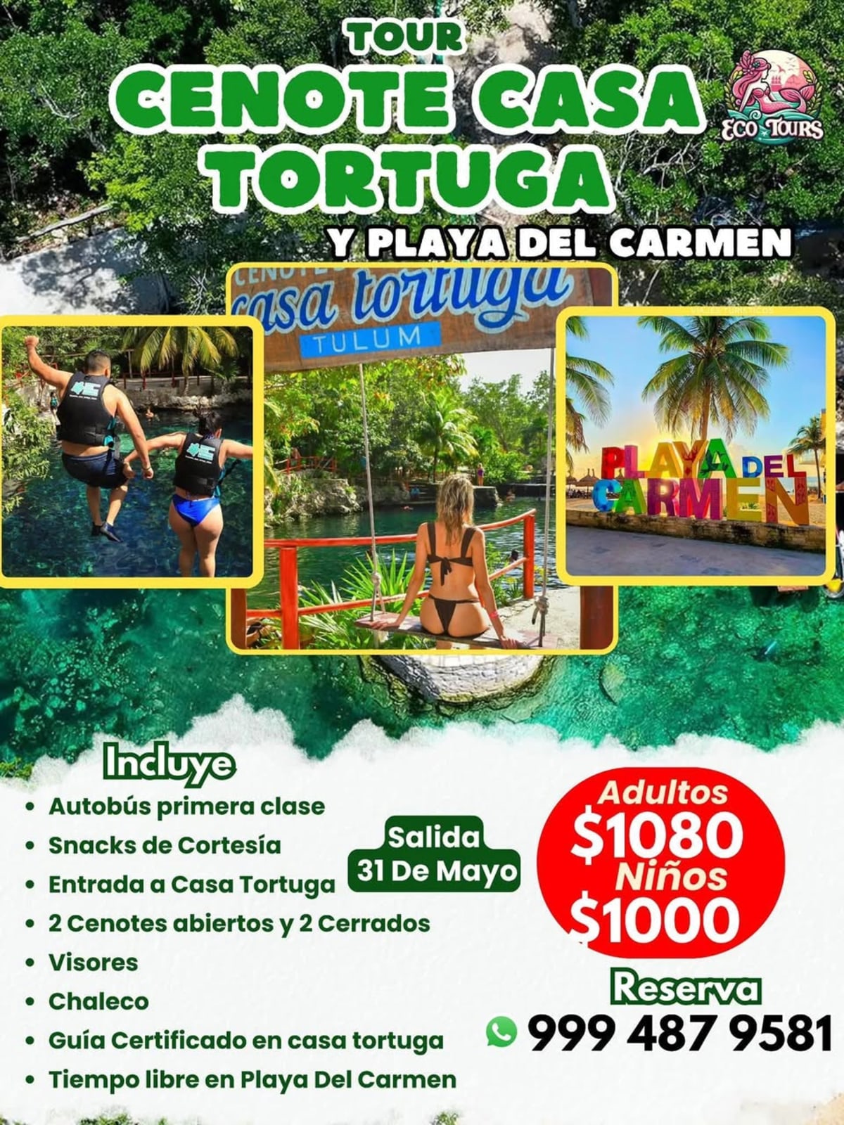 Tours Casa Tortuga y Playa del Carmen desde Mérida