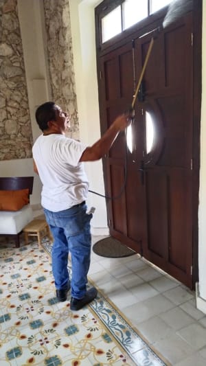 Fumipoot Control Integral Plagas