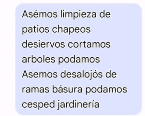 Limpieza Patios Jose Cauich