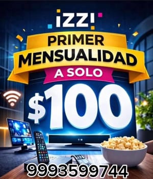 Servicio Izzi Internet y Telefonía