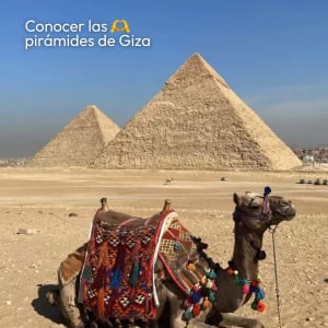 Pao Mx Travel Viajes Egipto Dubai
