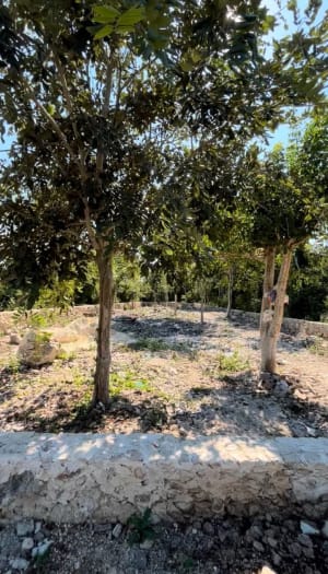 Terrenos 300 m2 Privada Residencial Blu Lagun