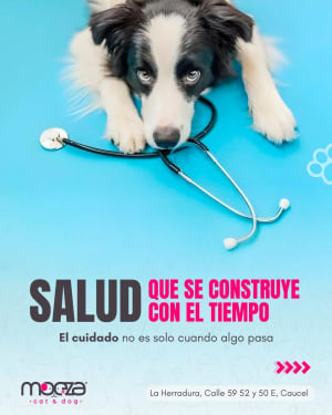 Clínica Veterinaria Mocza - Perros y Gatos