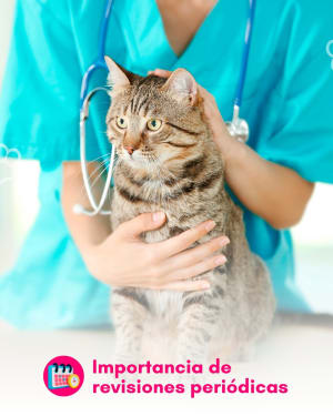 Clínica Veterinaria Mocza - Perros y Gatos