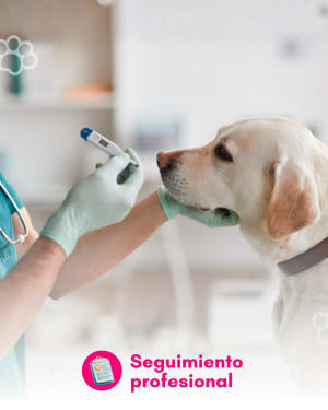 Clínica Veterinaria Mocza - Perros y Gatos
