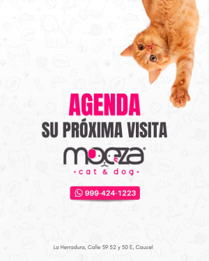 Clínica Veterinaria Mocza - Perros y Gatos