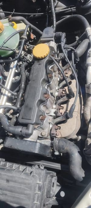 Mecánico Automotriz Profesional