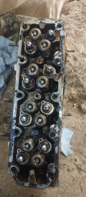 Mecánico Automotriz Profesional