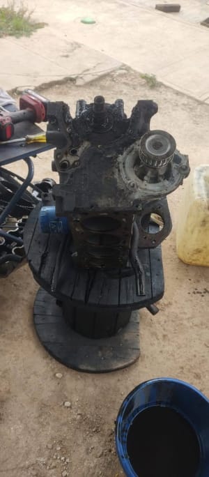 Mecánico Automotriz Profesional