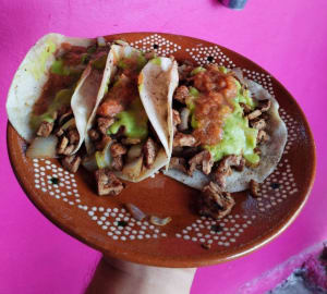 Tacos y Tortas Sr. Mostachón