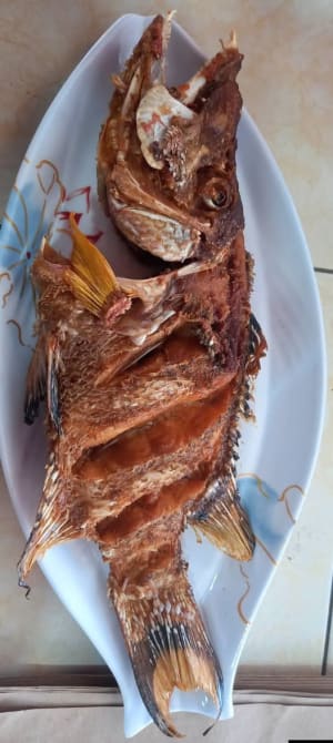 Pescado Frito Jjelamigozom