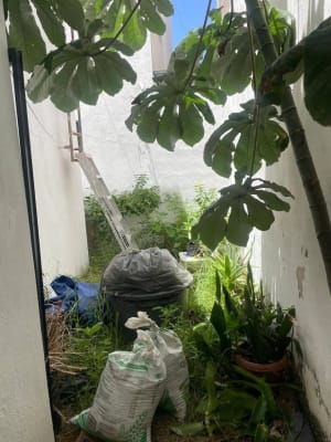 Servicios de Jardinería