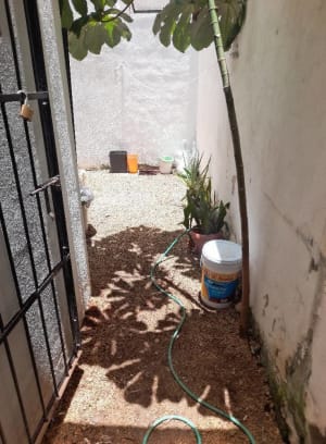 Servicios de Jardinería