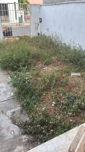Servicios de Jardinería