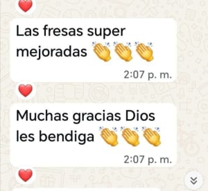 Comida Casera Emma Sánchez