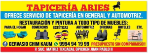 Tapicería Aries
