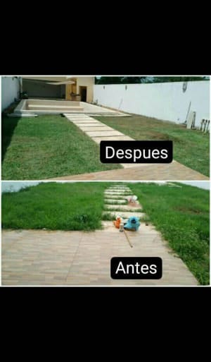 Limpieza de patios con desbrozadora