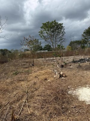 Venta de lotes ejidales en Dzunucan