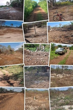 Venta de lotes ejidales en Dzunucan