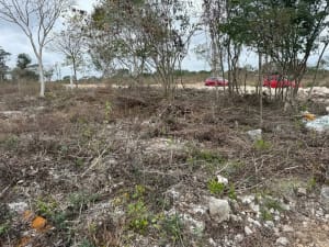 Venta de lotes ejidales en Dzunucan