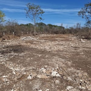 Venta de lotes ejidales en Dzunucan