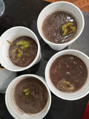 Frijoles Colados Mulchechen