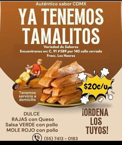 Tamales Estilo CDMX Doctora — Los Héroes