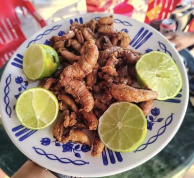 Hueva de pescado (mero y corvina) $250/kg, Calle 21 — Colonia Maya