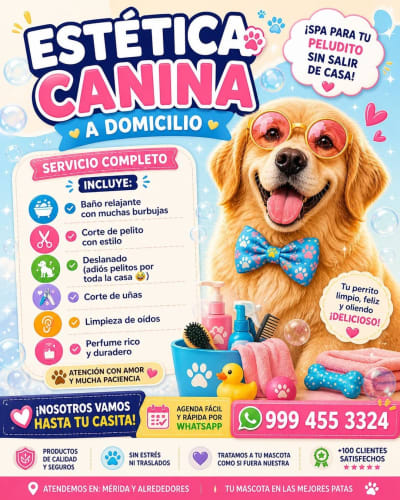 Estética canina a domicilio, agenda tu cita — Chuburná
