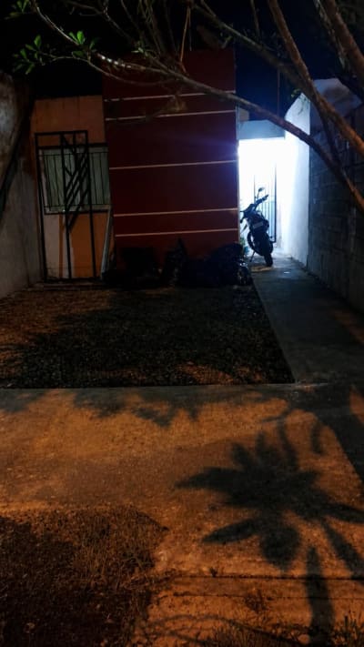Jardinería Santiago, deshierbe, poda y tala — Altabrisa