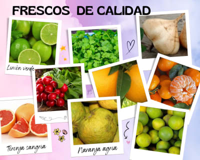 Frescos de Calidad — Cielo Alto