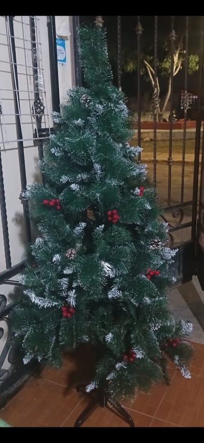 The Rouse Shop - Árboles de Navidad — Cielo Alto