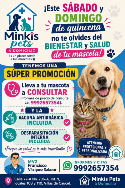 Veterinaria Minkis Pets a Domicilio — Caucel