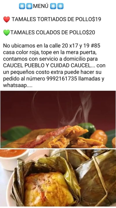 Tamales Bertha Noemí — Caucel