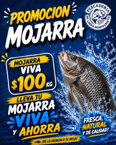 Pescaderia Montecristo — Caucel