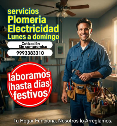 Servicios Hogar y Empresas — Caucel
