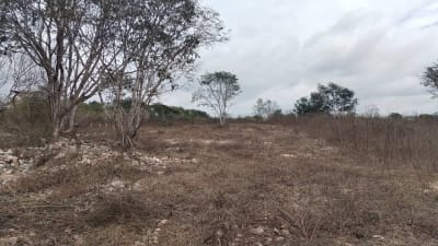 Venta de lotes ejidales en Dzunucan — Emiliano Zapata Sur