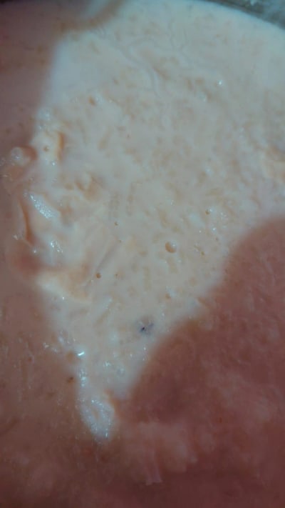 Arroz con Leche Casero — Santa Isabel