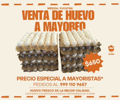 Huevos Ovoa — Santa Isabel