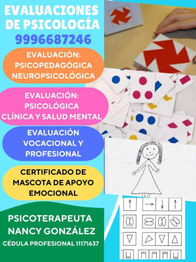 Evaluaciones de Psicología Nancy González — Las Américas