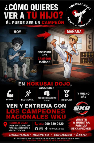 Hokusai Dojo — Las Américas