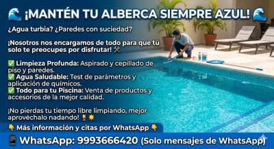 Mantenimiento de Albercas — Las Américas