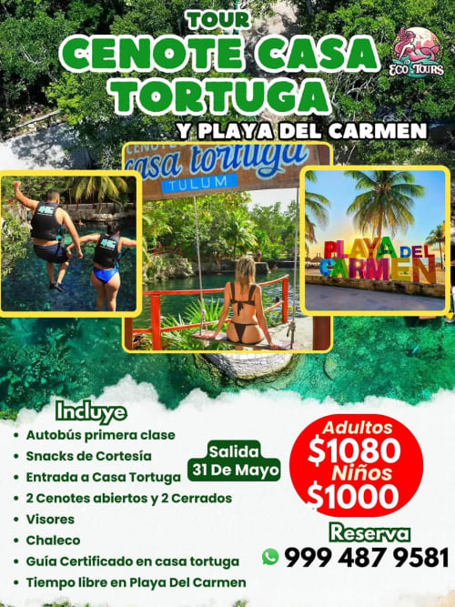 Tours Casa Tortuga y Playa del Carmen desde Mérida