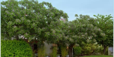 Logis L'Etoile