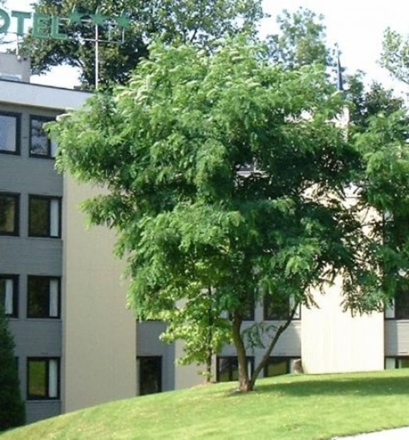 Hôtel Logis Acacias Lille Tourcoing