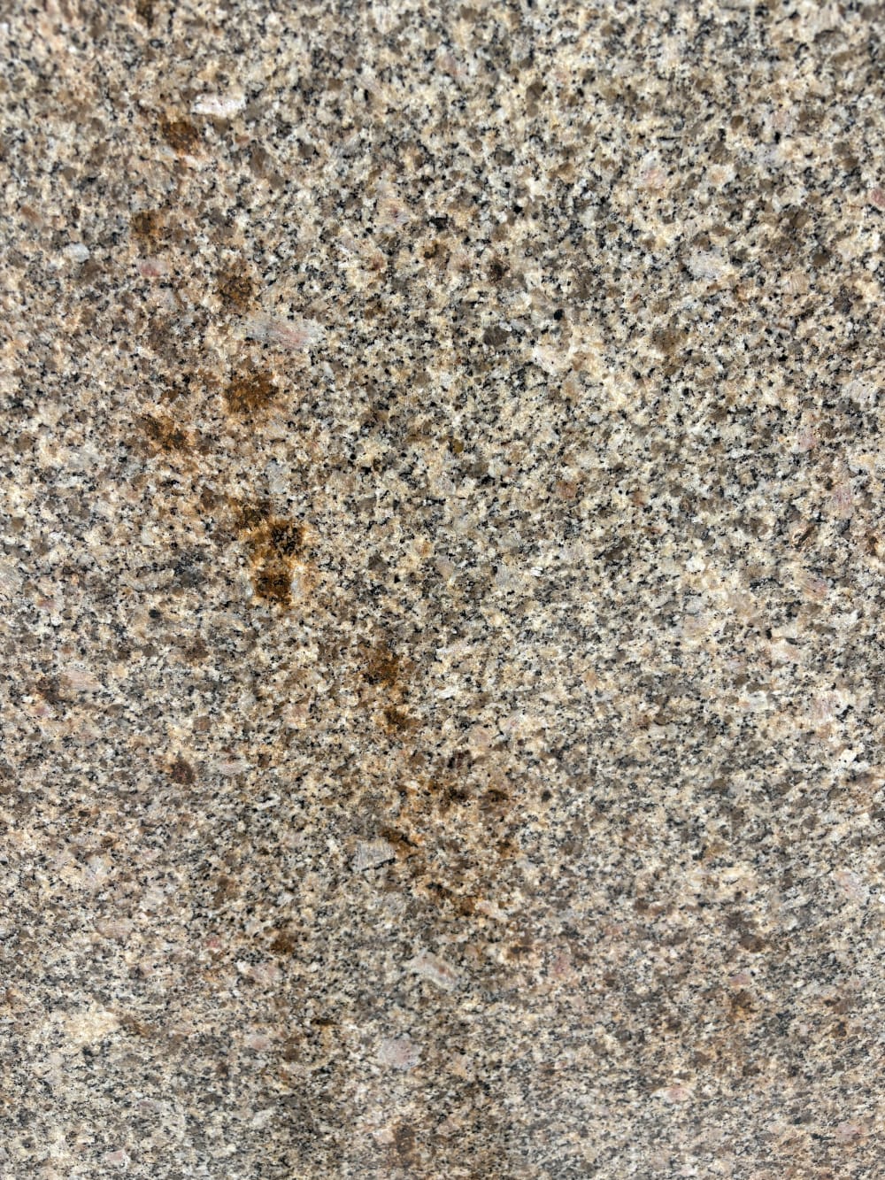 Amarillo Cathedral granite block 2952 detail, cream and charcoal crystals with scattered rust spots